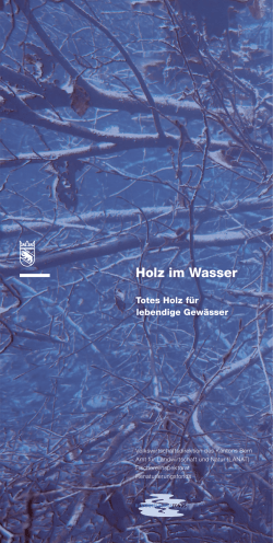 Holz im Wasser