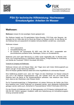 Hochwasser Einsatzaufgabe: Arbeiten im Wasser
