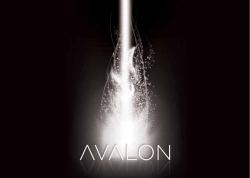 Hier können Sie sich den Folder von Avalon als PDF