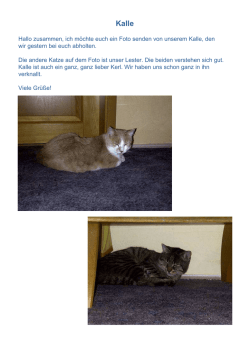 Hallo zusammen, ich m&ouml;chte euch ein Foto senden von unserem