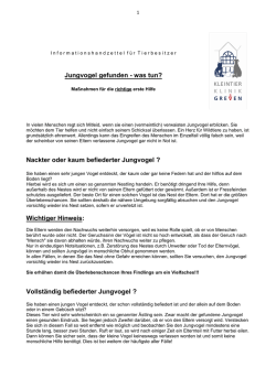 Jungvogel gefunden - Kleintierklinik Greven
