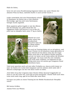 Hallo ihr lieben, bevor wir mit euren Hundetraining begonnen haben