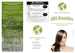 Haar-Mineral-Analyse (HMA) Informations Broschüre