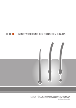 PDF Broschuere zum Downloaden