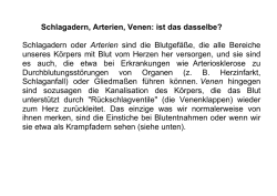 Schlagadern, Arterien, Venen: ist das dasselbe? Schlagadern oder