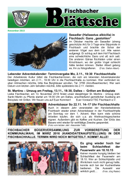 Seeadler (Haliaeetus albicilla) in Fischbach: Gans „gestohlen