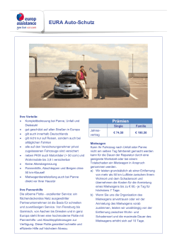 Flyer KFZ-Schutzbrief - Partner
