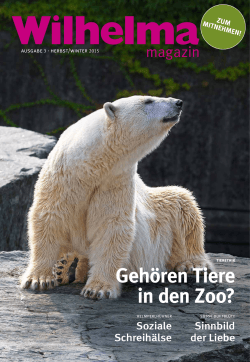 Gehören Tiere in den Zoo?
