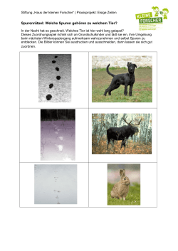 Spurenrätsel: Welche Spuren gehören zu welchem Tier?