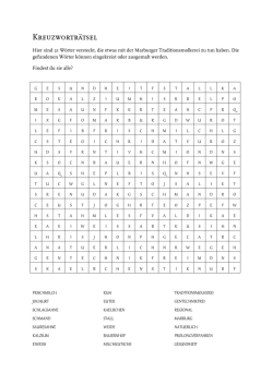 Hier sind 21 Wörter versteckt, die etwas mit der Marburger