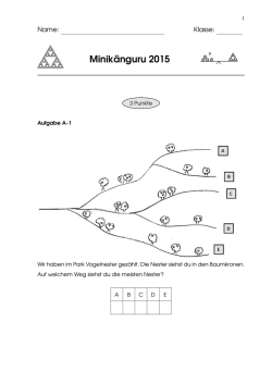 Minikänguru 2015 - Mathe für jung und alt