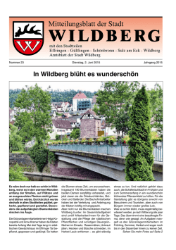 In Wildberg bl&uuml;ht es wundersch&ouml;n