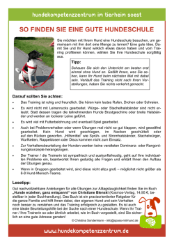 so finden sie eine gute hundeschule
