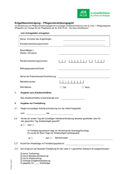 Entgeltbescheinigung &ndash; Pflegeunterst&uuml;tzungsgeld