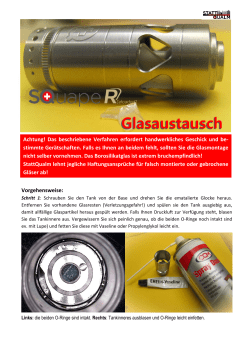 Glasaustausch