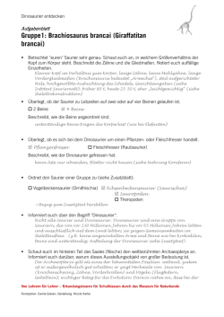 Dinosaurier entdecken - Museum f&uuml;r Naturkunde