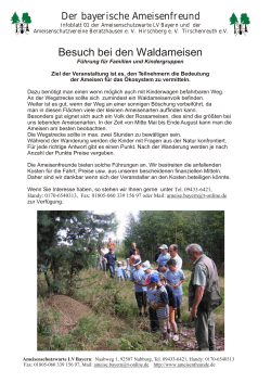 Infoblatt 01 Besuch bei den Waldameisen