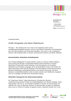 Gro&szlig;e Honigwabe und kleine Feldscheune
