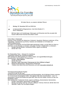 Infoblatt B&uuml;ndnis f&uuml;r Familie