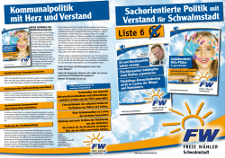 Sachorientierte Politik Verstand für Schwalmstadt Kommunalpolitik