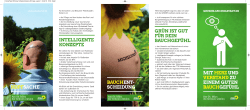 Gr&uuml;ne Michelstadt Flyer 2016