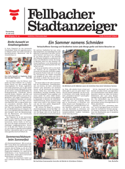 Ein Sommer namens Schmiden