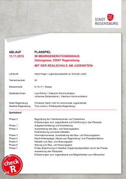 checkR-Planspiel RS am Judenstein: Abschlussbericht