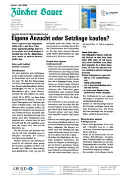 Eigene Anzucht oder Setzlinge kaufen?