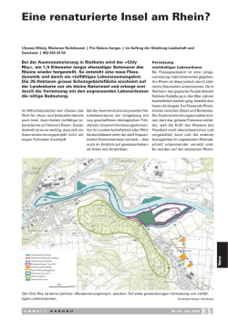 Eine renaturierte Insel am Rhein?