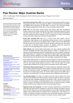 Peer Review: Major Austrian Banks