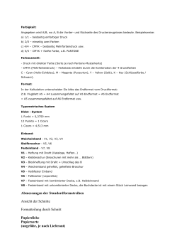 Druckereijargon PDF