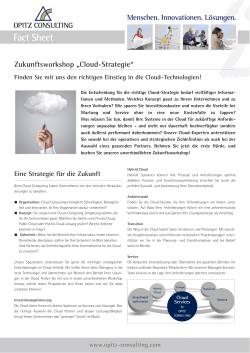 Cloud-Strategie - Opitz Consulting