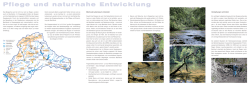 Pflege und Entwicklung (Flyer) 1,1 MB pdf