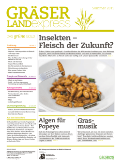 Insekten &ndash; Fleisch der Zukunft?