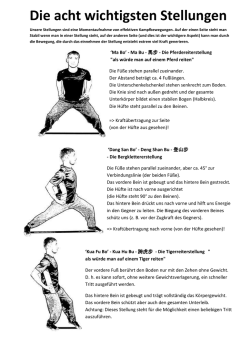 Die Stellungen kannst Du auch als PDF-Dokument hier - M-Kung-Fu