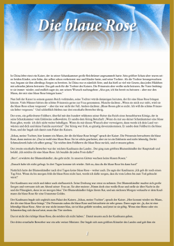 Die blaue Rose - Boutiquehotel Goldene Rose