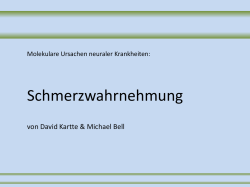 Schmerzwahrnehmung
