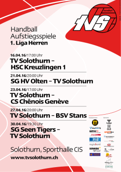 Handball Aufstiegsspiele