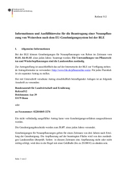 Informationen und Ausf&uuml;llhinweise f&uuml;r die Beantragung PDF