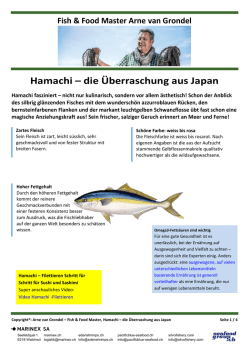 Hamachi &ndash; die &Uuml;berraschung aus Japan