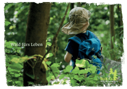 Jubil&auml;umsbrosch&uuml;re