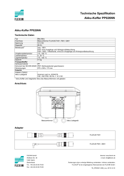 Technische Spezifikation Akku-Koffer PP026NN