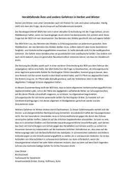 Herabfallende &Auml;ste und andere Gefahren in Herbst und Winter