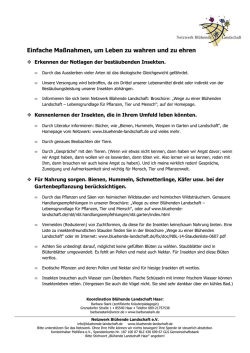 einfache Ma&szlig;nahmen, um Leben zu bewahren und zu ehren