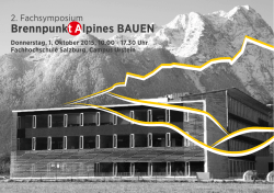 "Brennpunkt Alpines BAUEN" | pdf
