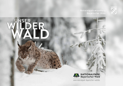 Unser Wilder Wald 2015/2 Barrierearm
