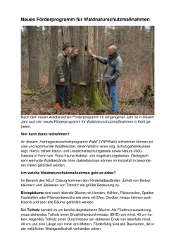 Neues Vertragsnaturschutzprogramm Wald.p[...]