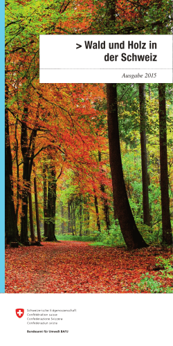 Wald und Holz in der Schweiz. Ausgabe 2015