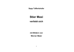 Stier Maxi