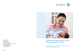 Betreuung zu Hause nach der Geburt PDF